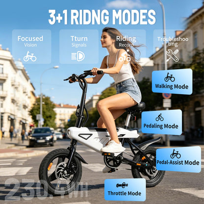 Tigoten AVDL Foldable Electric Bike, 36V 6.4Ah Battery, 14" Tires, Full Suspension