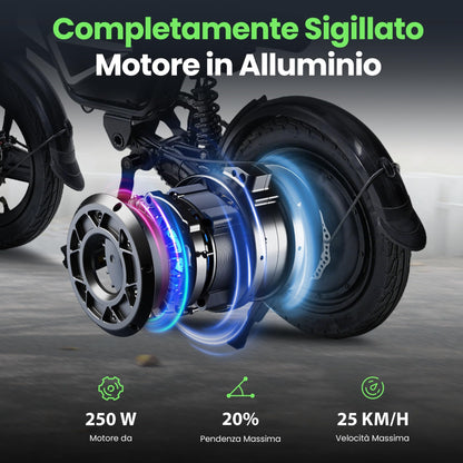 Finbike 14" Foldable Electric Bike, 432Wh Battery, 250W Motor, 30–50 km Range